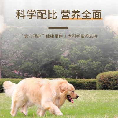 5斤迪幼泰牧马通用毛犬狗粮g40斤成大型犬金中小型型拉布拉多犬德优惠券