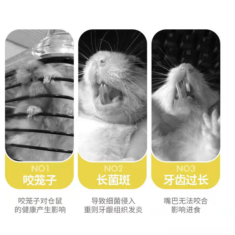 仓鼠磨牙棒石龙猫花枝鼠豚鼠荷兰猪金丝熊零食用品苹果枝专用玩具 - 图0