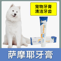 Samoye dedicated toothpaste pooch toothbrushing into young dogs Oral teeth Clean teeth Teeth Pet Toothpaste Edible