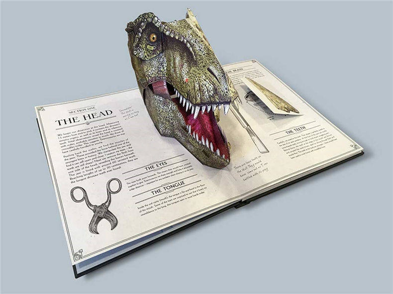 霸王龙 立体解剖学指南 英文原版 Tyrannosaurus rex A Pop Up Guide to Anatomy 英文版 进口原版英语科普读物书籍 精装