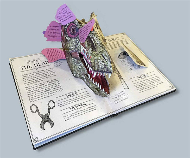 霸王龙 立体解剖学指南 英文原版 Tyrannosaurus rex A Pop Up Guide to Anatomy 英文版 进口原版英语科普读物书籍 精装