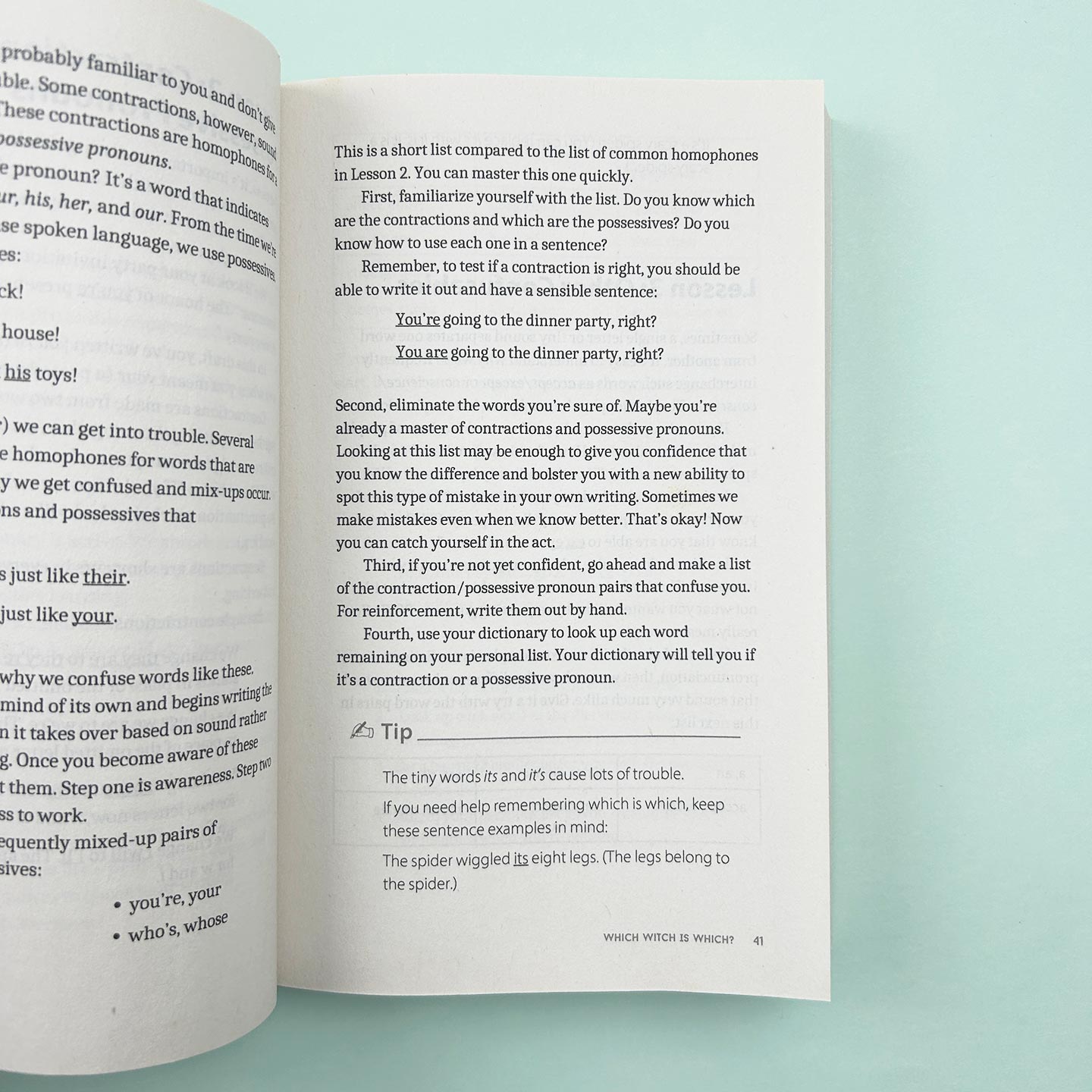 英文原版 Comma Sense Punctuation Workbook Elements of Style 逗号的意义 英语标点符号语法指南 Ellen Feld 进口英语原版书籍