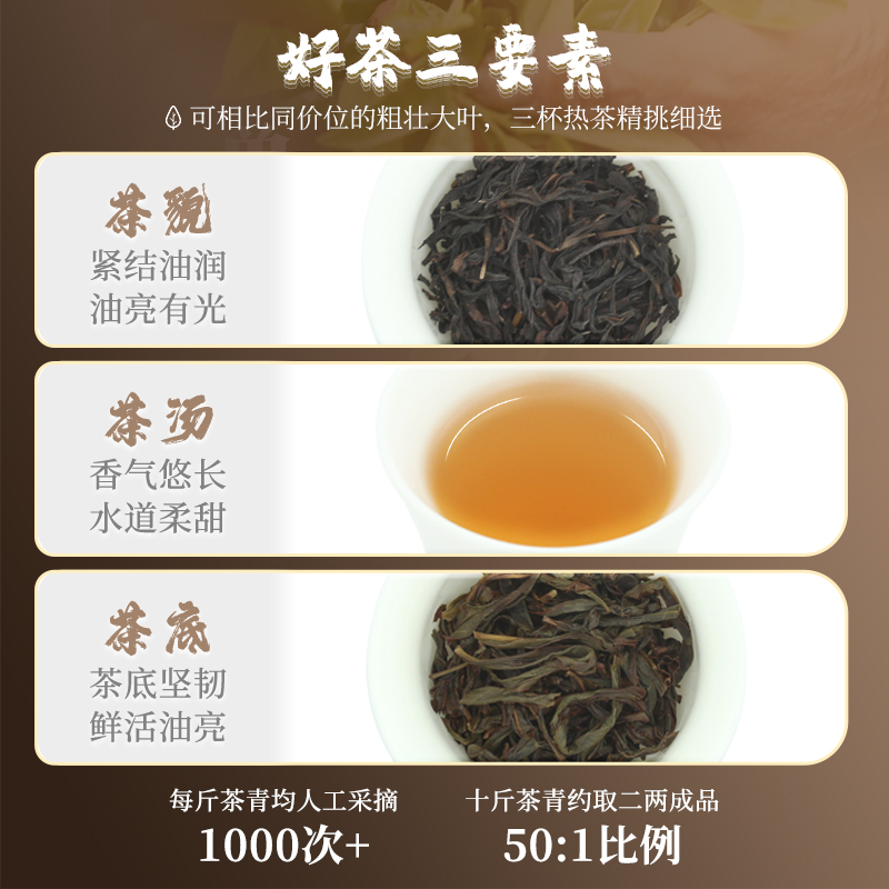 三杯热茶老枞八仙凤凰单枞茶潮州凤凰单丛茶叶芝兰香乌龙茶礼盒装 - 图1