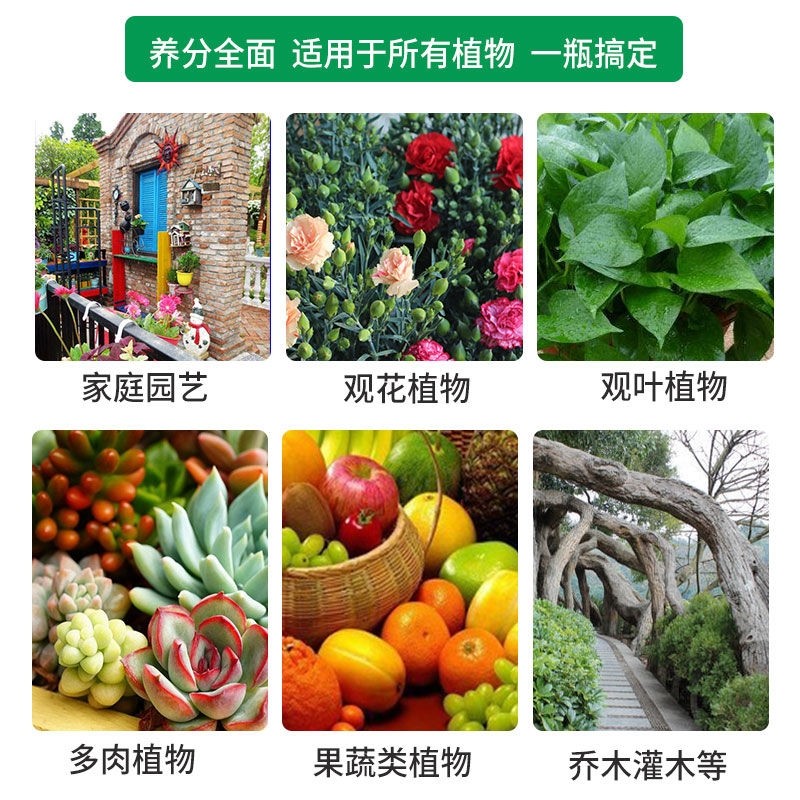 树脂一喷绿植物营养液果蔬专用型肥生长水溶果树草头通用种菜室内,淘宝优惠券,粉丝福利购,淘宝优惠卷