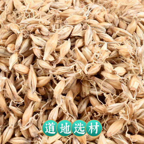 中药材店铺麦芽50g克中药材大麦芽大麦蘖麦蘖线下实体门店正品 - 图1