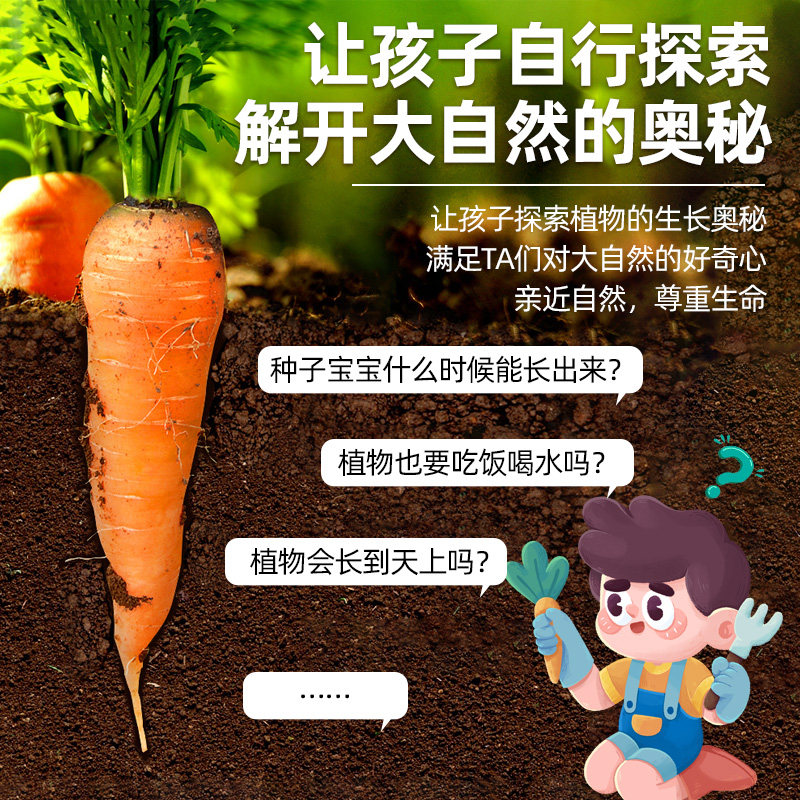 儿童种植小盆栽幼儿园观察植物种子凤仙花种籽子小学生向日葵种孑_虎窝淘