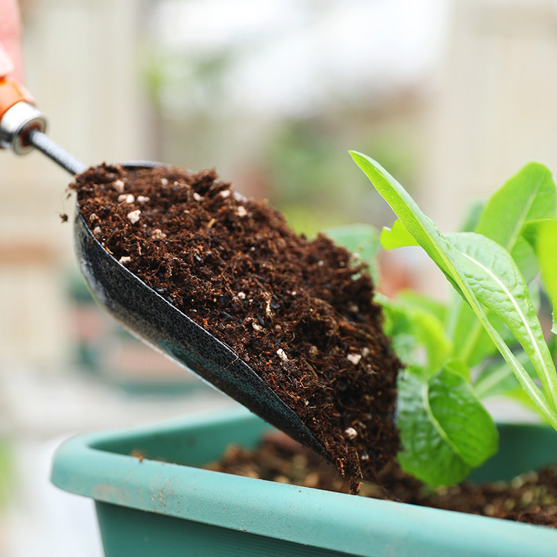 种花种菜赶海专用工具家用小铲子三件套松土神器园艺盆栽翻地花铲,淘宝优惠券,粉丝福利购,淘宝优惠卷