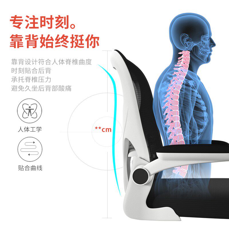 学习椅子电脑椅家用弓形办公书桌 界派电脑椅