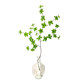 Simulated plant hanging clock, horse drunken wood, fake green plant living room