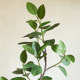 High-end light luxury simulated green plant Bengal banyan high-end soft furnishings high-quality indoor living room floor-standing artificial tree