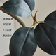 Simulated green plant, black diamond rubber tree, indoor living room, high-end light luxury floor-standing ornaments, advanced bionic plant decoration