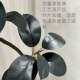Simulated green plant, black diamond rubber tree, indoor living room, high-end floor-standing ornaments, wabi-sabi style bionic plant