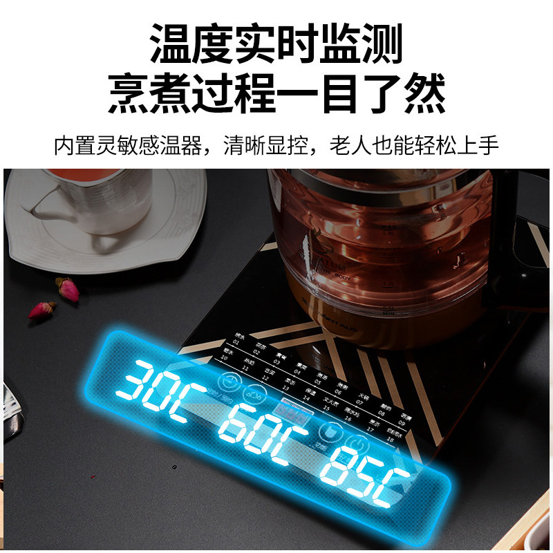 金正家用多功能全自动恒温养生壶 金正达馨行养生壶/煎药壶