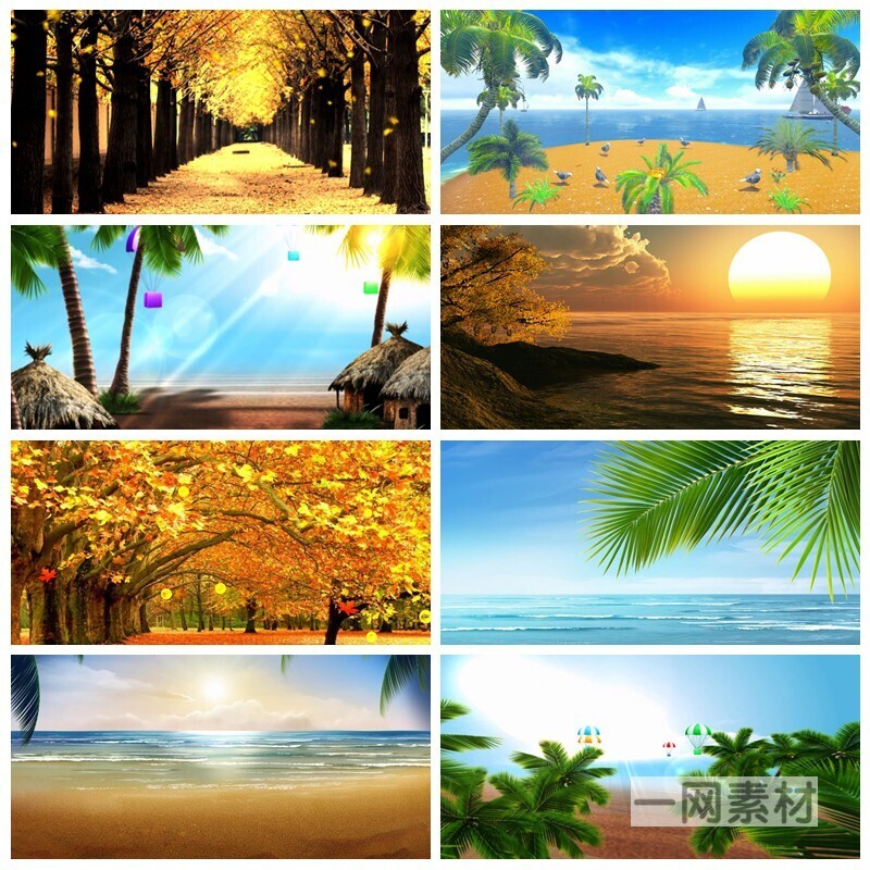 春夏秋冬视频素材四季天气变化梦幻植物季节交替4K动态画背景合集 - 图3