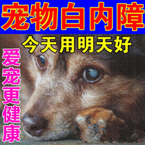 Pet Pooch Cataract Eye Drops Kitty Older Dogs Suppress Early Keratitis Glaucoma Vision Degradation