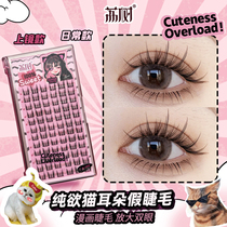 Lytree Pure Desire Cat Ears Fake Eyelash Natural Emulation Fairy Fur New Hand Women Single Cluster Vegan New Hand Sectional