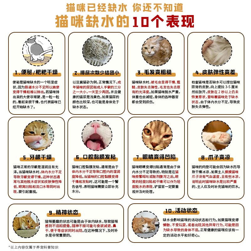 K9猫罐头补充营养补水猫咪零食非主食幼猫成猫白肉鱼汤罐24罐整箱