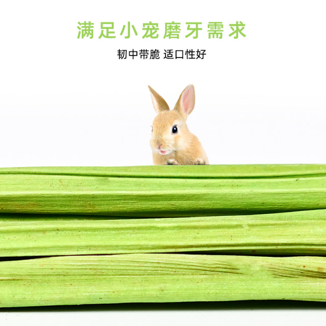 Natural papaya stems for pet teeth grinding and healthy teeth worry-free for little pets