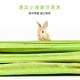 Natural papaya stems for pet teeth grinding and healthy teeth worry-free for little pets