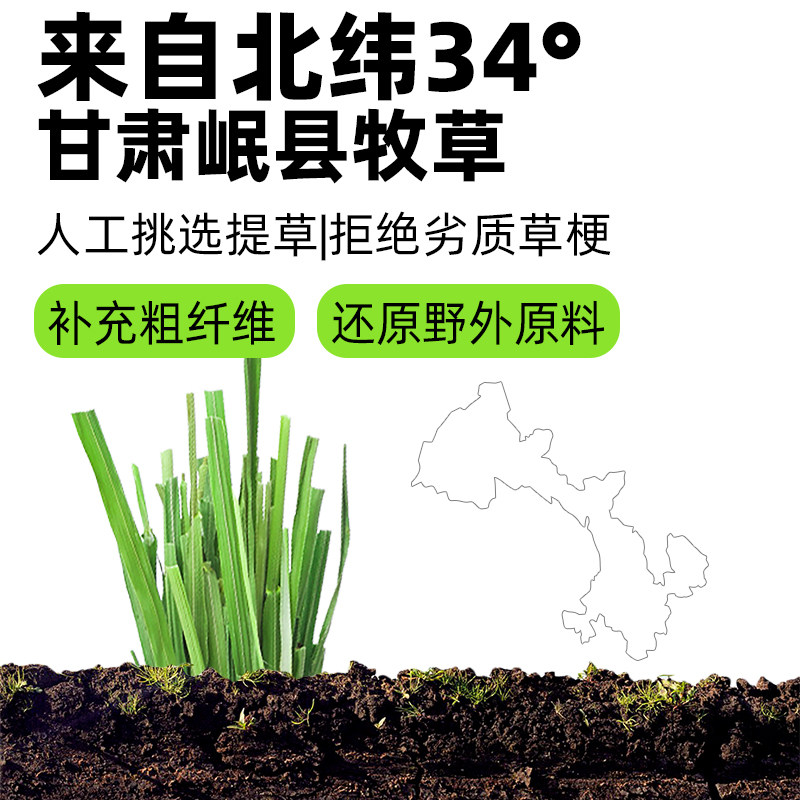 提摩西草饼磨牙饼苜蓿草饼兔子龙猫仓鼠豚鼠解闷兔兔荷兰猪磨牙棒,淘宝优惠券,粉丝福利购,淘宝优惠卷