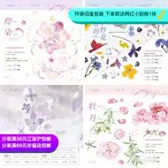 Ky工作室胶带 新人首单立减十元 21年8月 淘宝海外