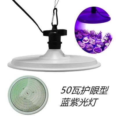 微景观植物照明灯 新人首单立减十元 21年8月 淘宝海外