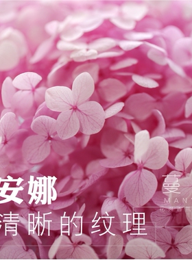 蔓玥蜡片diy材料系列安娜干花