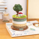Healing micro-landscape perpetual calendar ornament art storage box