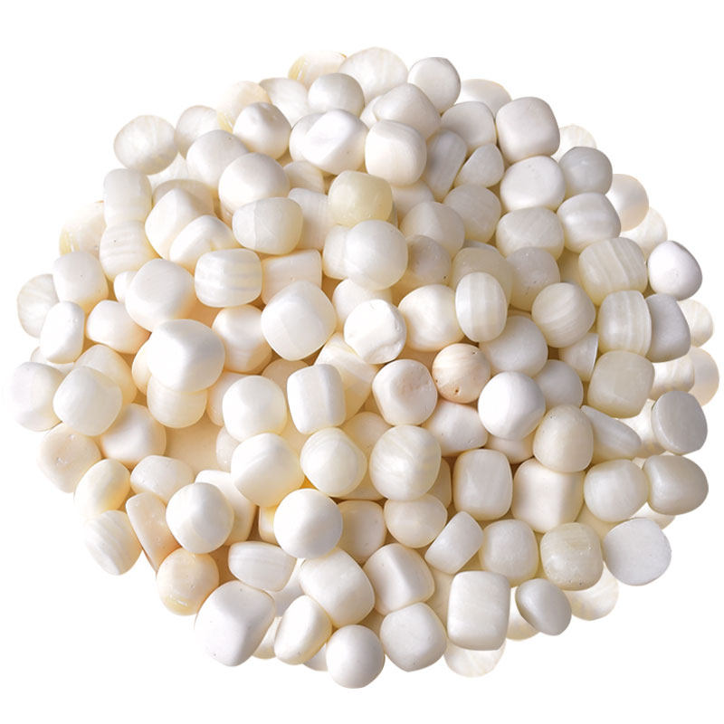 天然海南深海白贝壳原石化石摆件供曼扎装藏七宝石装饰品造景石头,淘宝优惠券,粉丝福利购,淘宝优惠卷