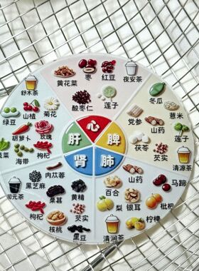 亚克力磁吸养生冰箱贴五脏六腑食疗图谱家庭生活健康科普装饰贴