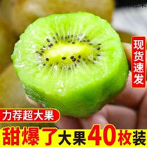 Shaanxi Week to Green Heart Exotic Fruit Fresh 10 catty of pregnant woman to make kiwifruit great fruit when season whole box of fruit