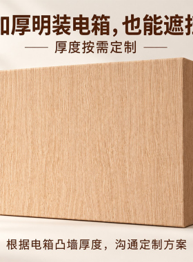 简约无框加厚电表箱遮挡装饰画