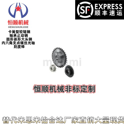 SP25B38/SP25B40-N/S-10/15/16/18/20-链轮25B/35B/40B/50B/60B - 图1