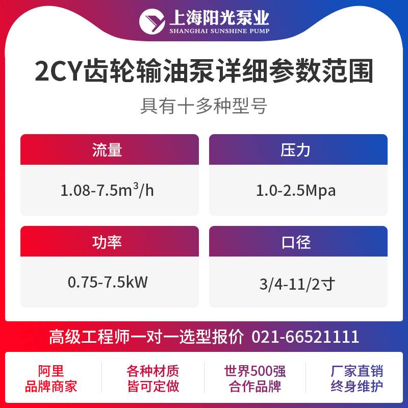 2CY齿轮式电动输油泵卧式卧式齿轮油泵齿轮润滑泵多种材料-图1