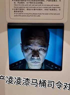 国产凌凌漆马桶贴纸经典3D变脸光栅卡创意整蛊玩具嗨007抽象卡片