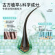 Nebe Anti Hair Loss Firming Essence Platycladus orientalis leaf