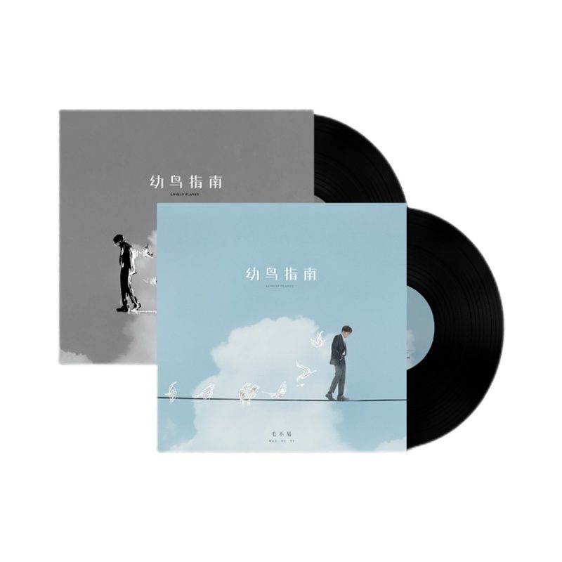 【正版音像】毛不易《幼鸟指南》黑胶同行版（黑胶2LP） - 图3