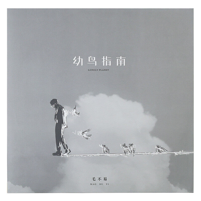 【正版音像】毛不易《幼鸟指南》黑胶同行版（黑胶2LP） - 图2