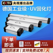 uv curing lamp high power handheld led ultraviolet without film glue uv glue light oil resin industrial light curing lamp