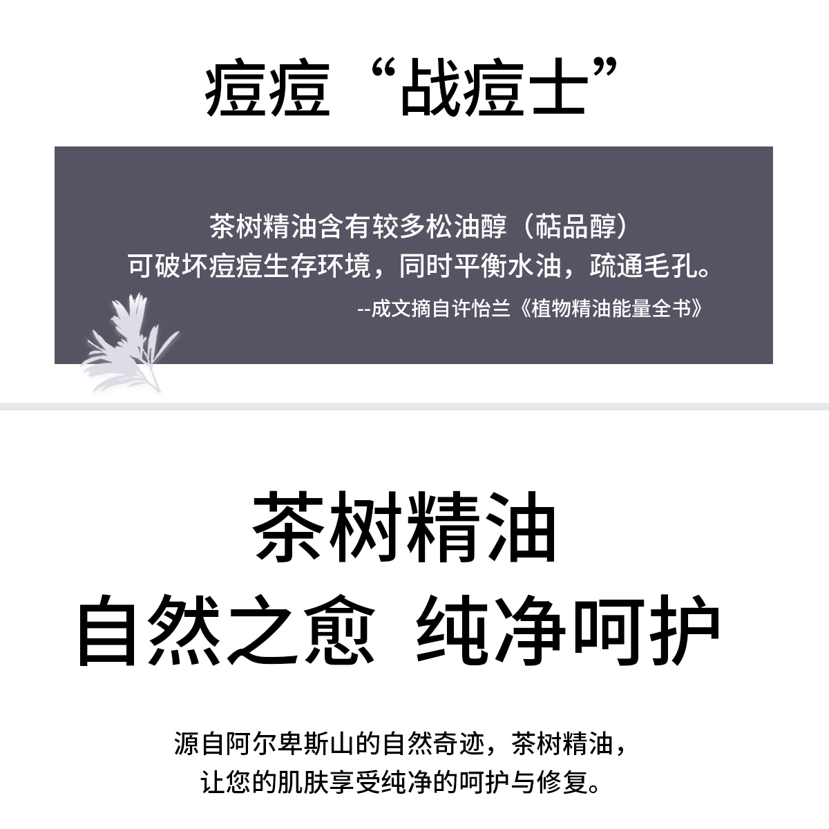 德国普拉赫茶树精油面霜祛痘淡化痘印调理痘痘粉刺官方正品250ml