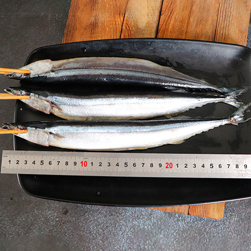 120克秋刀鱼串大号秋刀鱼串去内脏海鲜串商用冷冻水产半成品食材 - 图1