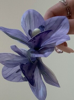 紫色百合花朵发夹女2026巨好看发卡发饰海边出游度假风拍照侧边夹