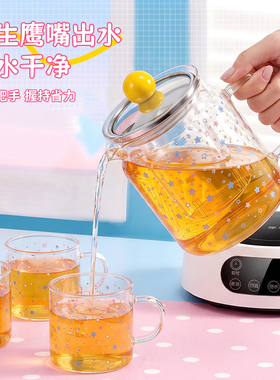 2026新款全玻璃炖煮一体养生壶