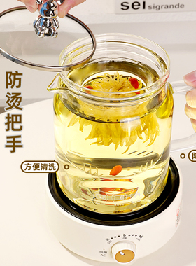 养生壶办公室小型加厚玻璃保温