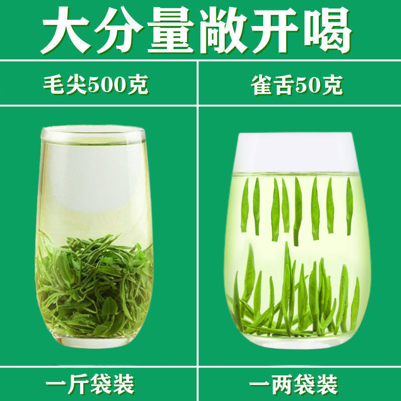 竹叶青茶叶旗舰店官方旗舰铁罐装特级茶叶绿茶高山云雾春茶湄新茶 - 图1