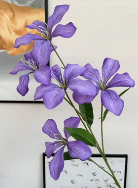 彷真花紫荆花火焰兰假花