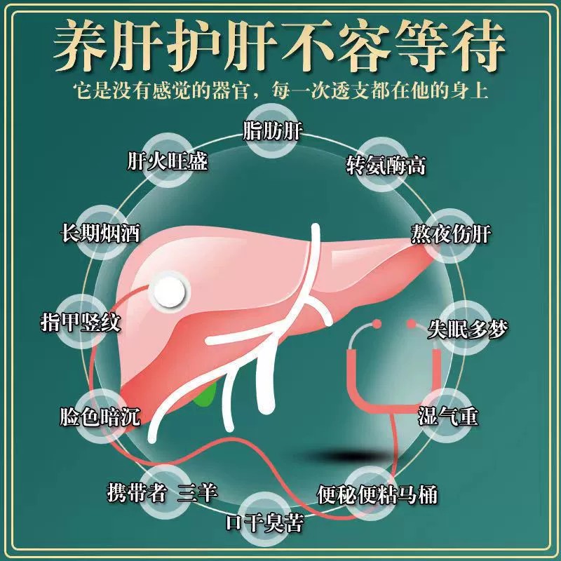 菊花决明子金银花养肝茶护肝强肾蒲公英降肝火旺脾虚湿气重养生茶-图1