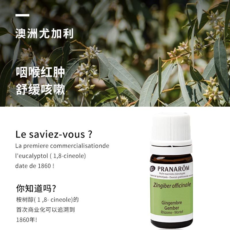 pranarom普罗芳净化空气舒缓精油 Pranarom海外单方精油