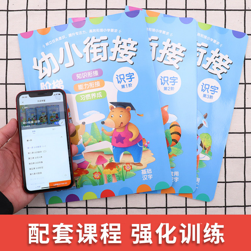 幼小衔接阶梯教程 识字全3册 学前幼儿阅读与识字书1-4-5-6岁 幼儿园宝宝启蒙教材图书 儿童大班升一年级阅读早教看图认字同济大学