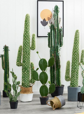 大型北欧仿真绿植仙人掌盆栽室内假花仿真花网红拍照道具装饰摆件